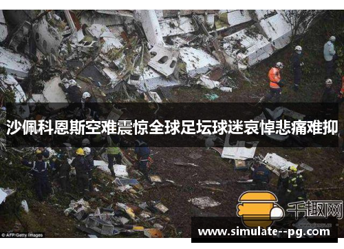 沙佩科恩斯空难震惊全球足坛球迷哀悼悲痛难抑 沙佩科恩斯空难震惊全球足坛球迷哀悼悲痛难抑