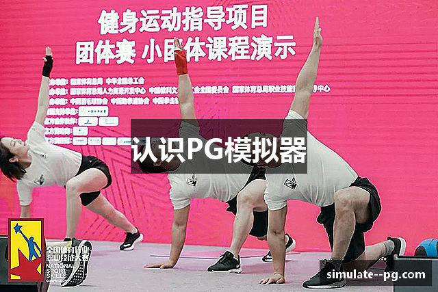 认识PG模拟器